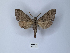  ( - ANHRTUK00149528)  @11 [ ] Copyright (2021) Unspecified ANHRT