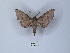  ( - ANHRTUK00149532)  @11 [ ] Copyright (2021) Unspecified ANHRT