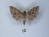  ( - ANHRTUK00149824)  @11 [ ] Copyright (2021) Unspecified ANHRT