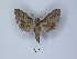  ( - ANHRTUK00149855)  @11 [ ] Copyright (2021) Unspecified ANHRT