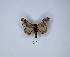  ( - ANHRTUK00149879)  @13 [ ] Copyright (2021) Unspecified ANHRT