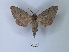  ( - ANHRTUK00149889)  @11 [ ] Copyright (2021) Unspecified ANHRT