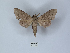  ( - ANHRTUK00149895)  @11 [ ] Copyright (2021) Unspecified ANHRT