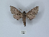 ( - ANHRTUK00149907)  @11 [ ] Copyright (2021) Unspecified ANHRT