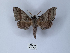  ( - ANHRTUK00149921)  @11 [ ] Copyright (2021) Unspecified ANHRT