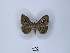  ( - ANHRTUK00150022)  @11 [ ] Copyright (2021) Unspecified ANHRT
