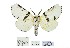  ( - ANHRTUK00152996)  @11 [ ] Copyright (2021) Unspecified ANHRT