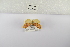  ( - ANHRTUK-00153086)  @11 [ ] Copyright (2021) Unspecified ANHRT