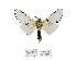  ( - ANHRTUK00158203)  @11 [ ] Copyright (2021) Unspecified ANHRT