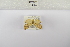  ( - ANHRTUK-00159084)  @11 [ ] Copyright (2021) Unspecified ANHRT