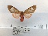  ( - ANHRTUK00165152)  @11 [ ] COPYRIGHT (2021) Unspecified ANHRT