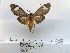  ( - ANHRTUK00165155)  @11 [ ] COPYRIGHT (2021) Unspecified ANHRT