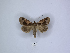  ( - ANHRTUK00165907)  @11 [ ] Copyright (2021) Unspecified ANHRT