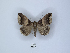  ( - ANHRTUK00189832)  @11 [ ] Copyright (2021) Unspecified ANHRT