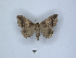  ( - ANHRTUK00189833)  @11 [ ] Copyright (2021) Unspecified ANHRT