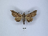  ( - ANHRTUK00189920)  @11 [ ] Copyright (2021) Unspecified ANHRT