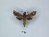  ( - ANHRTUK00189945)  @11 [ ] Copyright (2021) Unspecified ANHRT