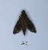  ( - ANHRTUK00190190)  @11 [ ] Copyright (2021) Unspecified ANHRT