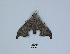  ( - ANHRTUK00190203)  @11 [ ] Copyright (2021) Unspecified ANHRT