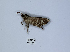  ( - ANHRTUK00190205)  @11 [ ] Copyright (2021) Unspecified ANHRT