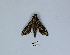  ( - ANHRTUK00190219)  @11 [ ] Copyright (2021) Unspecified ANHRT