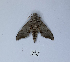  ( - ANHRTUK00190225)  @11 [ ] Copyright (2021) Unspecified ANHRT