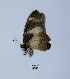  ( - ANHRTUK00190235)  @11 [ ] Copyright (2021) Unspecified ANHRT