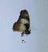  ( - ANHRTUK00190236)  @11 [ ] Copyright (2021) Unspecified ANHRT