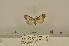  ( - ANHRTUK00191338)  @11 [ ] COPYRIGHT (2021) Unspecified ANHRT
