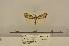  ( - ANHRTUK00191340)  @11 [ ] COPYRIGHT (2021) Unspecified ANHRT