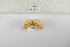  ( - ANHRTUK-00192688)  @11 [ ] Copyright (2021) Unspecified ANHRT