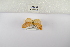  ( - ANHRTUK-00192706)  @11 [ ] Copyright (2021) Unspecified ANHRT