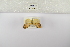  ( - ANHRTUK-00192710)  @11 [ ] Copyright (2021) Unspecified ANHRT