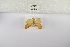  ( - ANHRTUK-00192711)  @11 [ ] Copyright (2021) Unspecified ANHRT