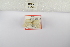  ( - ANHRTUK-00194069)  @11 [ ] Copyright (2021) Unspecified ANHRT