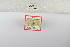  ( - ANHRTUK-00194070)  @11 [ ] Copyright (2021) Unspecified ANHRT