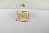  ( - ANHRTUK-00194071)  @11 [ ] Copyright (2021) Unspecified ANHRT