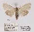  ( - ANHRTUK00194119)  @11 [ ] COPYRIGHT (2021) Unspecified ANHRT