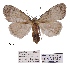  ( - ANHRTUK00194122)  @11 [ ] COPYRIGHT (2021) Unspecified ANHRT
