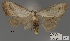  ( - ANHRTUK00194124)  @11 [ ] COPYRIGHT (2021) Unspecified ANHRT
