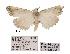  ( - ANHRTUK00194125)  @11 [ ] COPYRIGHT (2021) Unspecified ANHRT