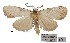  ( - ANHRTUK00194126)  @11 [ ] COPYRIGHT (2021) Unspecified ANHRT