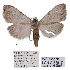  ( - ANHRTUK00194127)  @11 [ ] COPYRIGHT (2021) Unspecified ANHRT