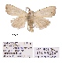  ( - ANHRTUK00194128)  @11 [ ] COPYRIGHT (2021) Unspecified ANHRT