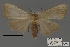 ( - ANHRTUK00194129)  @11 [ ] COPYRIGHT (2021) Unspecified ANHRT