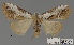  ( - ANHRTUK00194140)  @11 [ ] COPYRIGHT (2021) Unspecified ANHRT