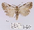  ( - ANHRTUK00194141)  @11 [ ] COPYRIGHT (2021) Unspecified ANHRT