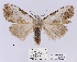  ( - ANHRTUK00194142)  @11 [ ] COPYRIGHT (2021) Unspecified ANHRT