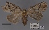  ( - ANHRTUK00194145)  @11 [ ] COPYRIGHT (2021) Unspecified ANHRT