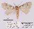  ( - ANHRTUK00194155)  @11 [ ] COPYRIGHT (2021) Unspecified ANHRT